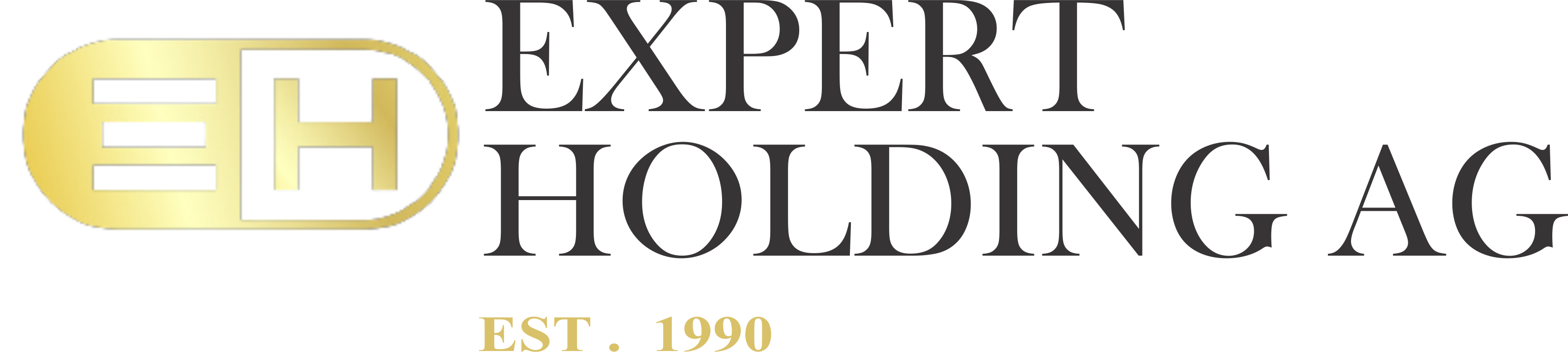 Expert Holding AG
